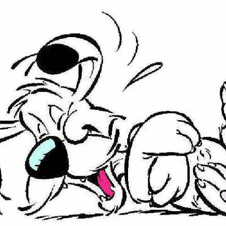 Idefix (idefix.lens) Lens social identity (.lens handle) PFP