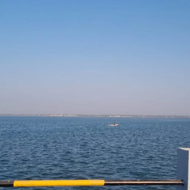 Verdant Fields (pingdom.lens) Lens social identity (.lens handle) PFP