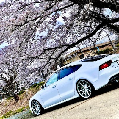 Chabashira104 (chabashira104.lens) Lens social identity (.lens handle) PFP