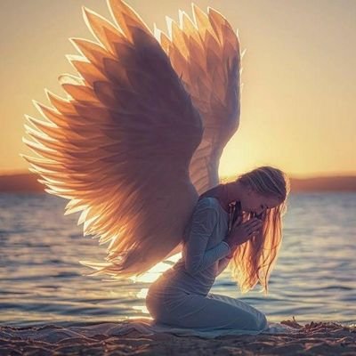 caro1205 (caro1205.lens) Lens social identity (.lens handle) PFP