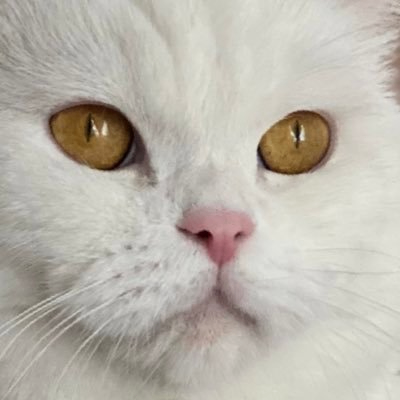 abdulazis (ndugqwd.lens) Lens social identity (.lens handle) PFP