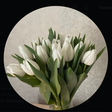 Nastya (nastyaa.lens) Lens social identity (.lens handle) PFP