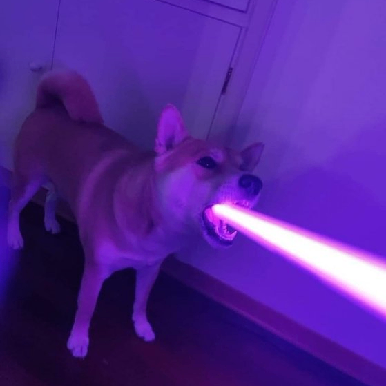 crypto (cryptomurphy.lens) Lens social identity (.lens handle) PFP