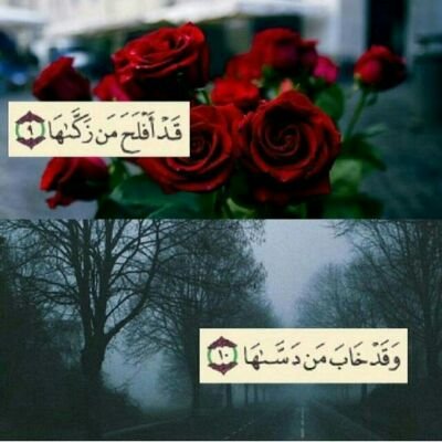 somihkhalid (45551.lens) Lens social identity (.lens handle) PFP