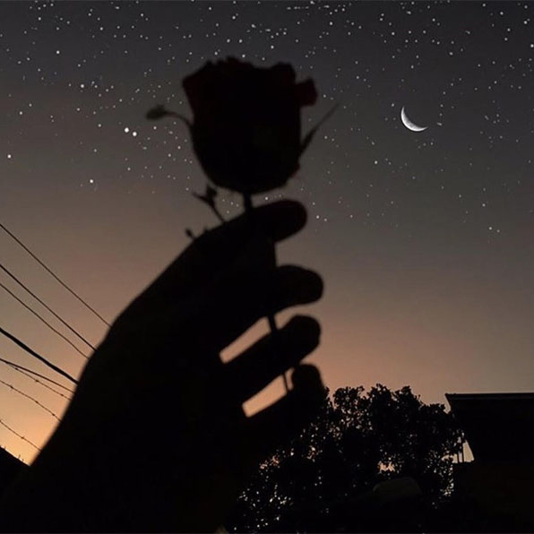 Vishniya (vishenkaplay1.lens) Lens social identity (.lens handle) PFP