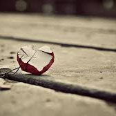 Barry David (barry51.lens) Lens social identity (.lens handle) PFP