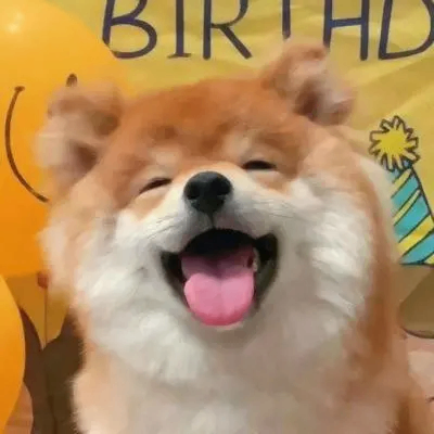 delweiss (piterli.lens) Lens social identity (.lens handle) PFP