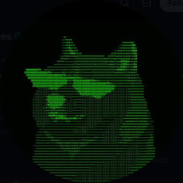 Terminal of Memes (bsowi.lens) Lens social identity (.lens handle) PFP