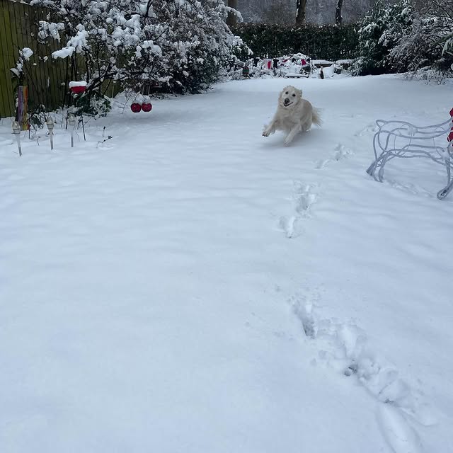 The Kin Compass (connextra.lens) Lens social identity (.lens handle) PFP