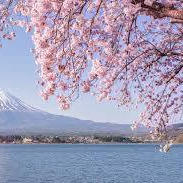 Japan (falgoten.lens) Lens social identity (.lens handle) PFP