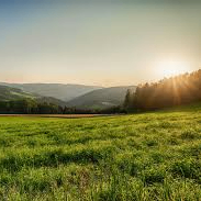 Ruby (ruby99.lens) Lens social identity (.lens handle) PFP