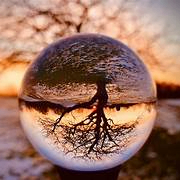 penguine (9wowjbdjdo.lens) Lens social identity (.lens handle) PFP