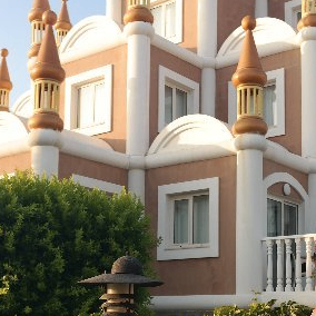 Slana (slana.lens) Lens social identity (.lens handle) PFP