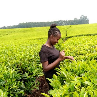 NaomKemunto5o (naomkemunto5o.lens) Lens social identity (.lens handle) PFP