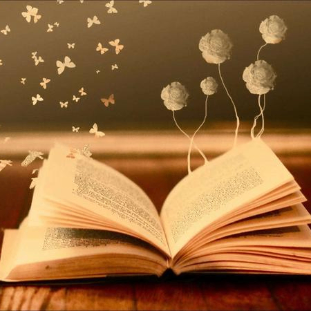 pixelady (pixelady.lens) Lens social identity (.lens handle) PFP