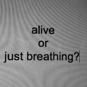 Karina (adfga4.lens) Lens social identity (.lens handle) PFP