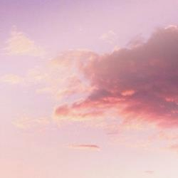 Cleveland Tom (sbnnn.lens) Lens social identity (.lens handle) PFP