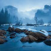 rejaul islam (freee.lens) Lens social identity (.lens handle) PFP