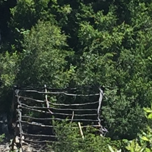 dd (jdbdkskd.lens) Lens social identity (.lens handle) PFP