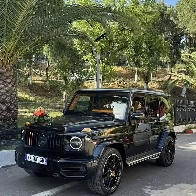 Verdant Vistas (playfizz.lens) Lens social identity (.lens handle) PFP