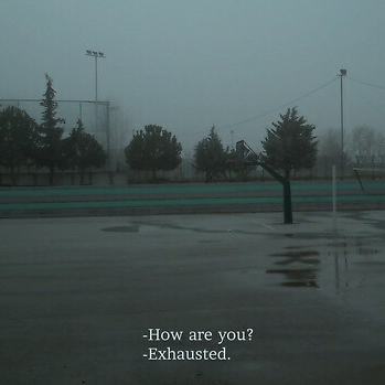 Olafur (asexc.lens) Lens social identity (.lens handle) PFP