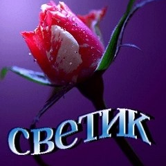 Svetlana (svetlanalana.lens) Lens social identity (.lens handle) PFP