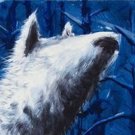 tgrrvei8 (tgrrvei8.lens) Lens social identity (.lens handle) PFP