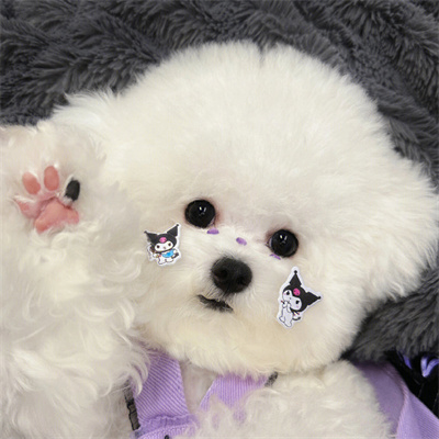 Osborn Alsop(p) (iiiiiy.lens) Lens social identity (.lens handle) PFP