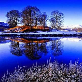 sorensenandrea2 (sorensenandrea2.lens) Lens social identity (.lens handle) PFP