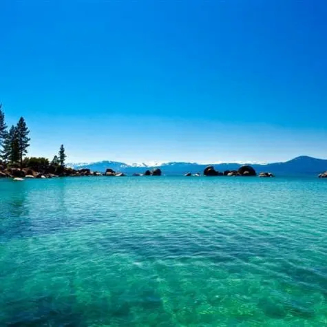 plogi (plogi.lens) Lens social identity (.lens handle) PFP