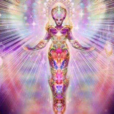 Kittycat8809 (kittycat8809.lens) Lens social identity (.lens handle) PFP