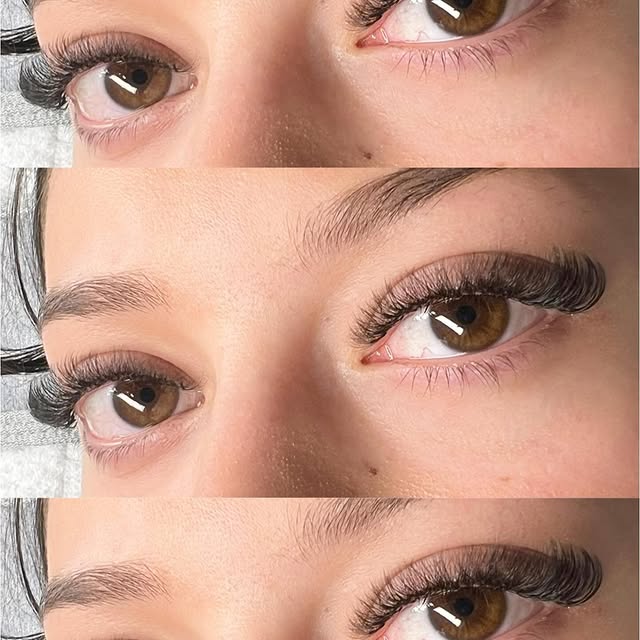 Elianna Frost (modamob.lens) Lens social identity (.lens handle) PFP