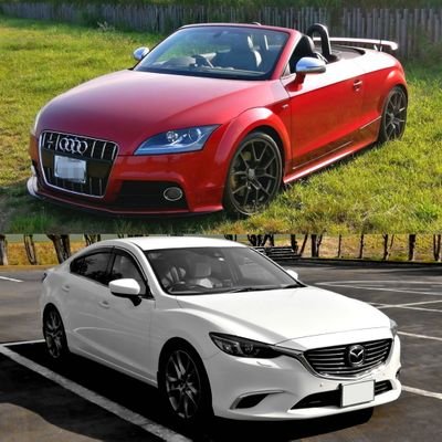 macal_shirotan (macalshirotan.lens) Lens social identity (.lens handle) PFP