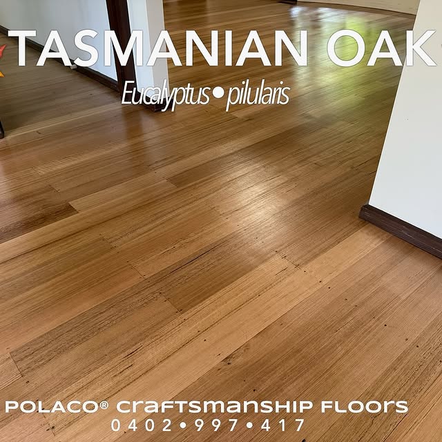 Insight Equilibrium (brainfall.lens) Lens social identity (.lens handle) PFP