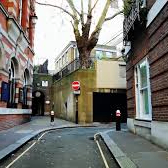 Apricot (yunial.lens) Lens social identity (.lens handle) PFP