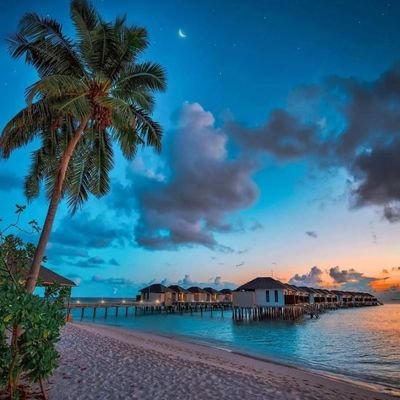 TravelAndLove (travelandlove.lens) Lens social identity (.lens handle) PFP