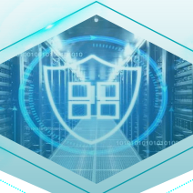 PoorMan (bboym.lens) Lens social identity (.lens handle) PFP