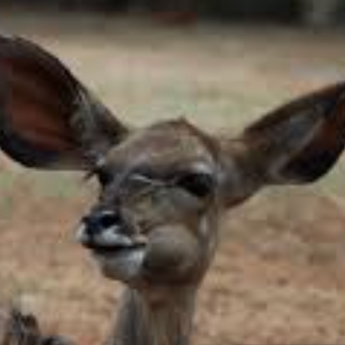 vghjvb (ezzzzz.lens) Lens social identity (.lens handle) PFP