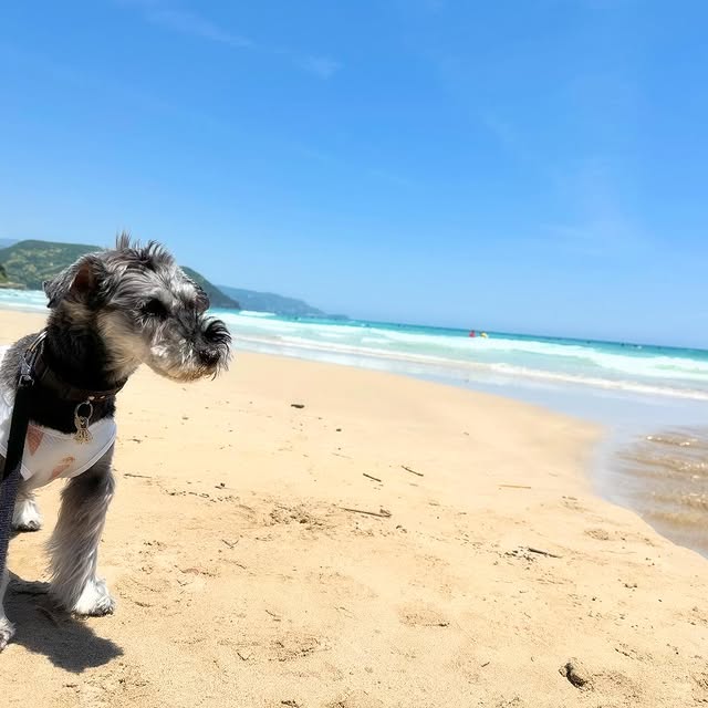 Electra Hawk (adobedtm.lens) Lens social identity (.lens handle) PFP