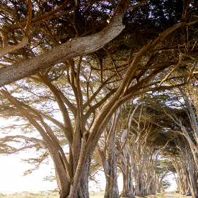 Lma (valenciasalamanca.lens) Lens social identity (.lens handle) PFP