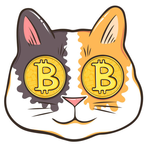 Salim (salimi16.lens) Lens social identity (.lens handle) PFP