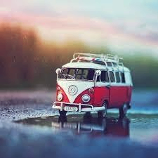 turanmizmiz (turanmizmiz.lens) Lens social identity (.lens handle) PFP