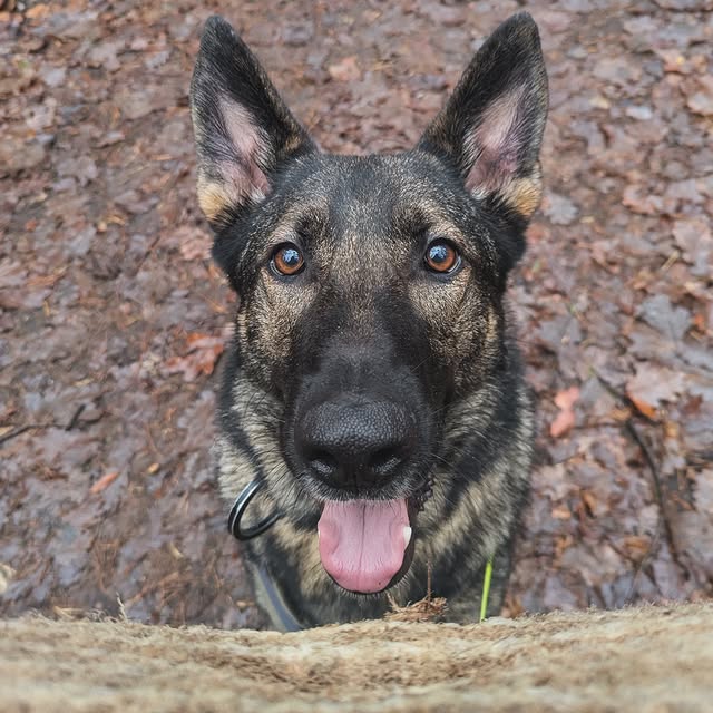 Blue Harvest Innovations (eathei.lens) Lens social identity (.lens handle) PFP