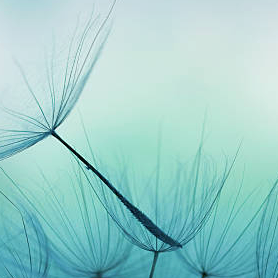 gfdhgfdh (0u993.lens) Lens social identity (.lens handle) PFP