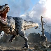 kairago (kairago.lens) Lens social identity (.lens handle) PFP