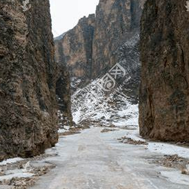 Hedda Quiller (nnnnnr.lens) Lens social identity (.lens handle) PFP