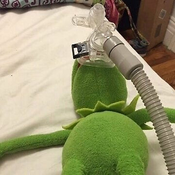 yane (yanereyegeldik.lens) Lens social identity (.lens handle) PFP