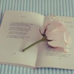 Bishop Dulles (sbmmm.lens) Lens social identity (.lens handle) PFP