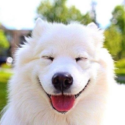 Drc_19 (drc19.lens) Lens social identity (.lens handle) PFP