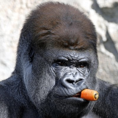 OG Boss (og1bosster.lens) Lens social identity (.lens handle) PFP